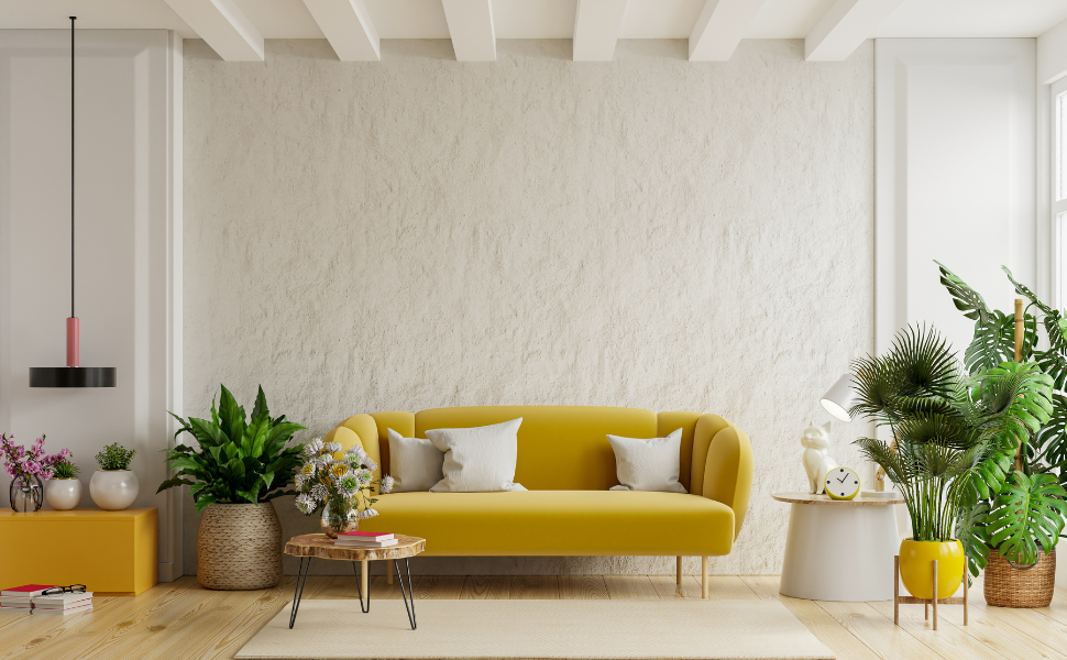 Alarmes sans abonnement : pourquoi de plus en plus de foyers font ce choix ?