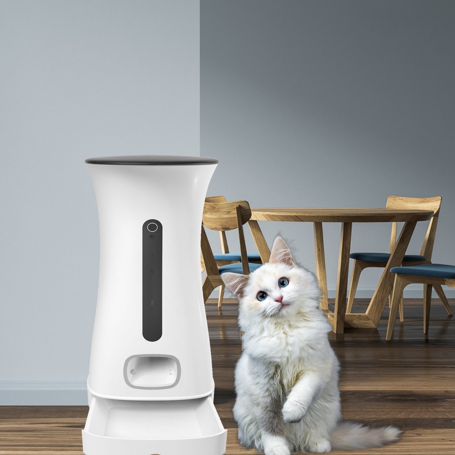 Pourquoi choisir un distributeur de croquettes connecté? - Daewoo Security