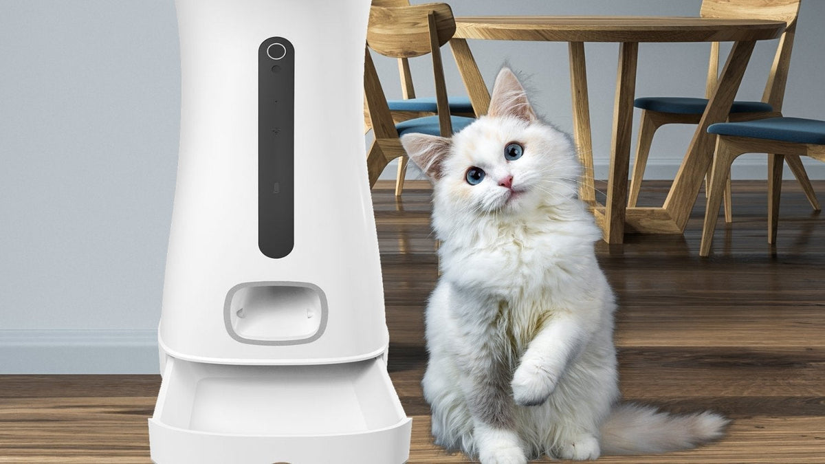 Distributeur de croquettes connecté Daewoo et un chat dans une cuisine