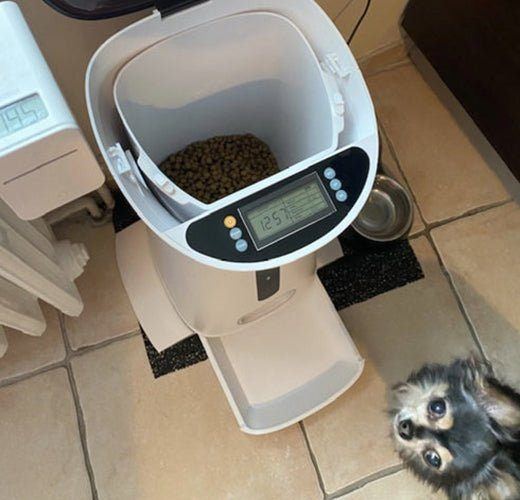 Test du distributeur de croquette par ladomotiquepourtous.fr - Daewoo Security