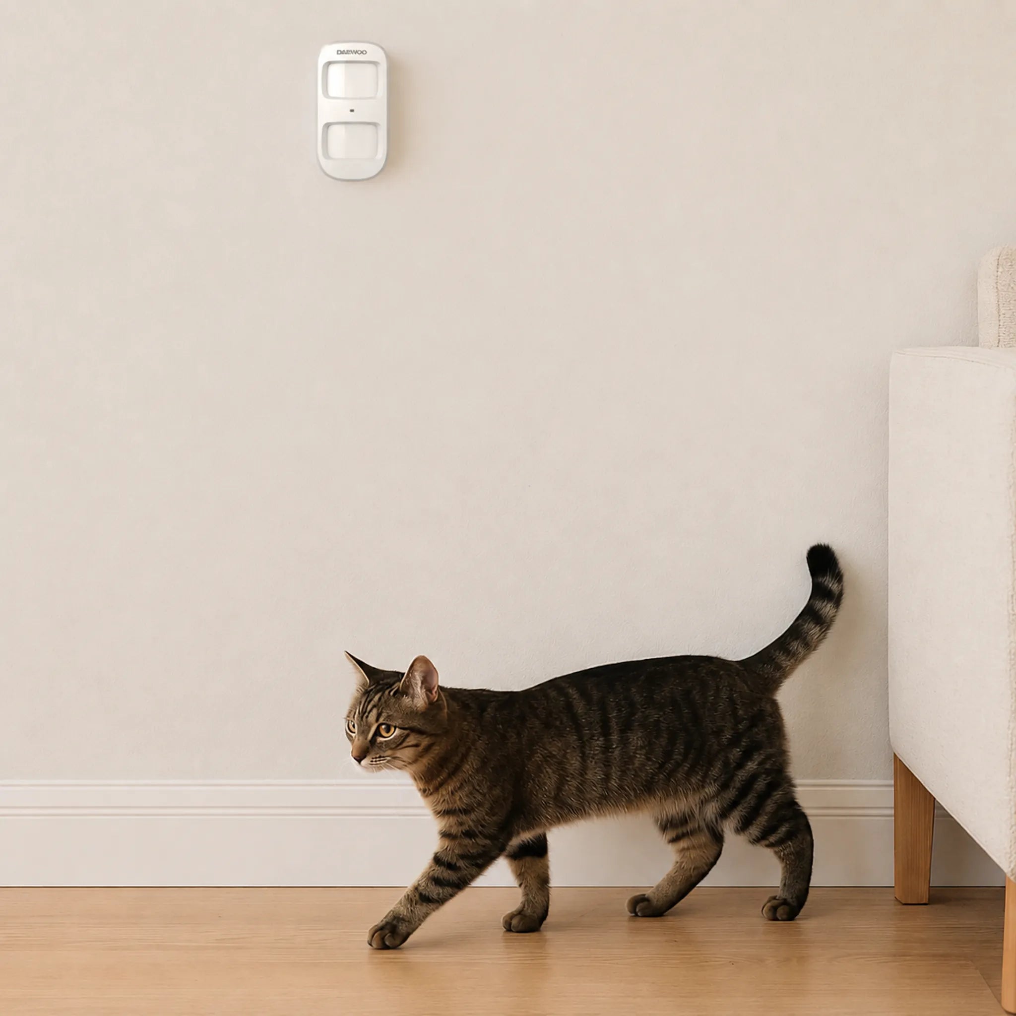 Le détecteur de mouvement Daewoo WPS501 ignore le passage d'un chat
