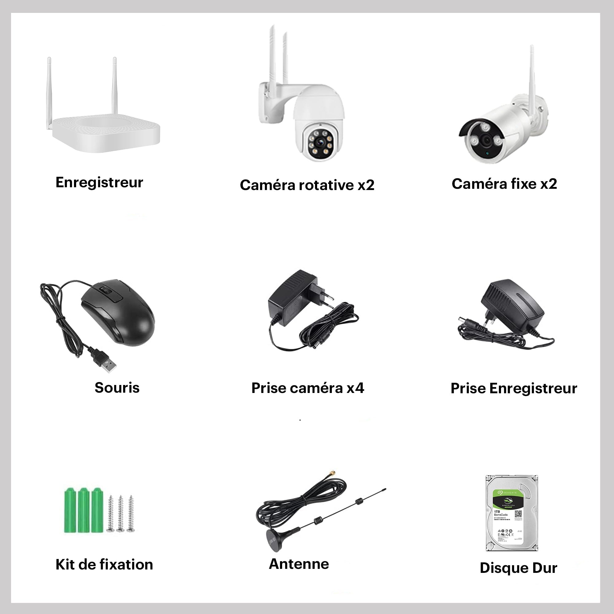 Daewoo Enregistreur NVR avec 4 Caméras et 1 disque dur 1To - Daewoo Security