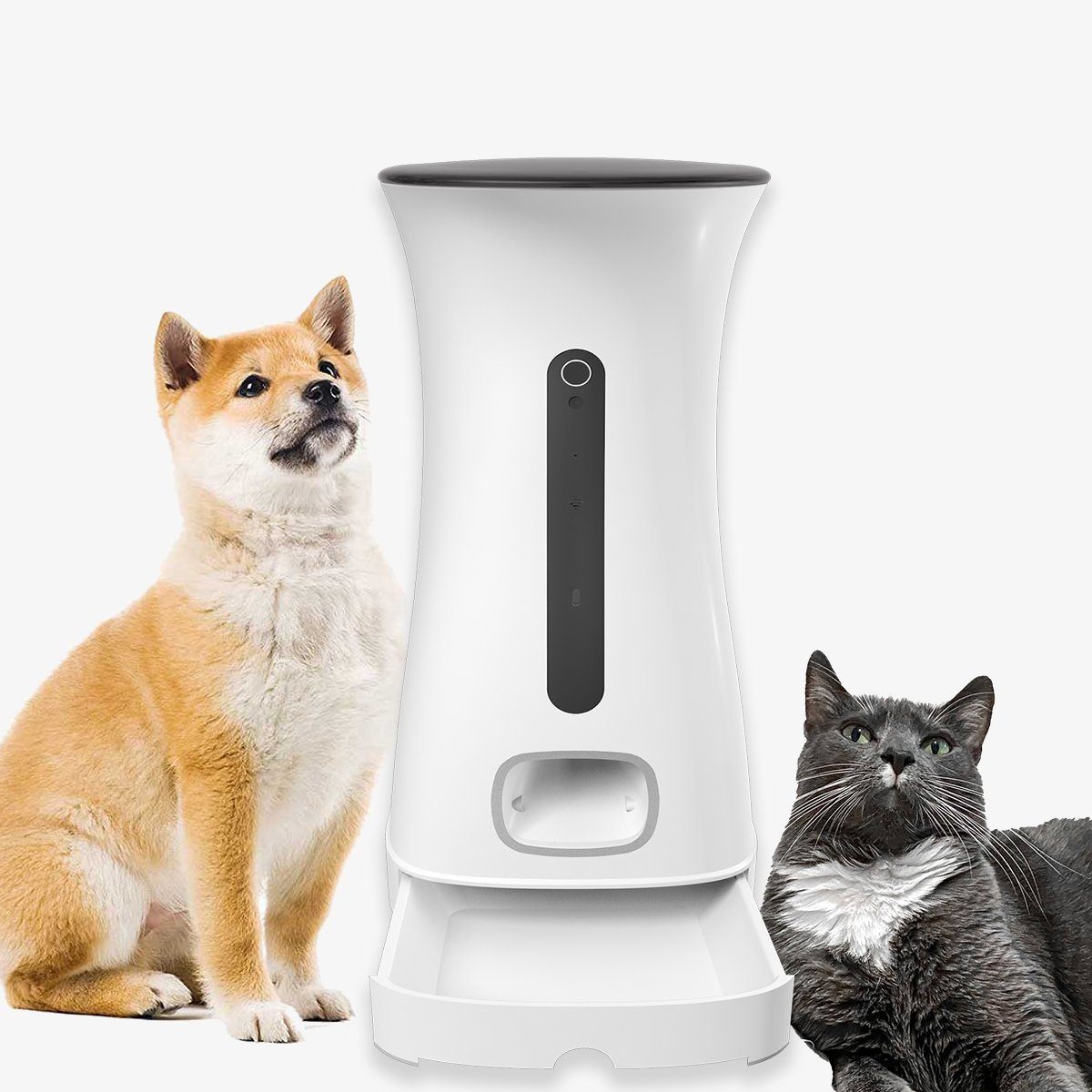 Distributeur de croquettes connecté avec caméra DAEWOO Nutrivision 501C - Daewoo Security