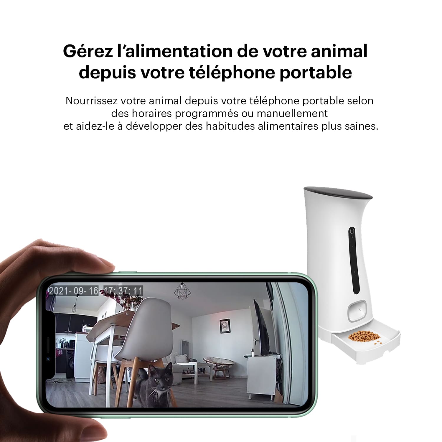 Distributeur de croquettes connecté avec caméra DAEWOO Nutrivision 501C - Daewoo Security