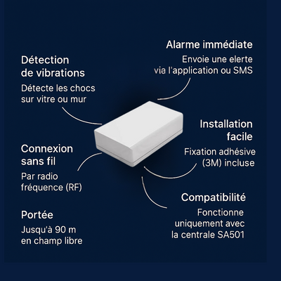 Détecteur de vibration 