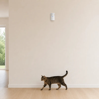 WPS305 installé à 2,10 m du sol, un chat passant sans déclencher l'alarme