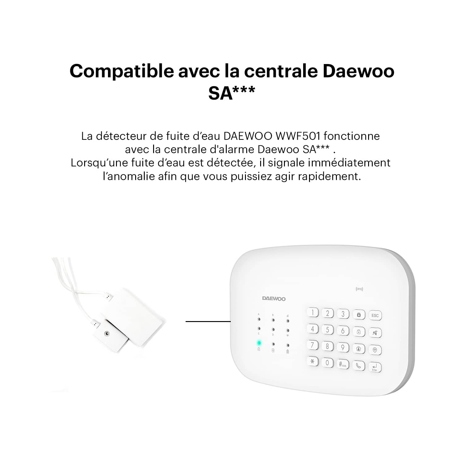 Détecteur de fuite d'eau WWF501 | Compatible avec l'alarme SA501 & PA501Z - Daewoo Security